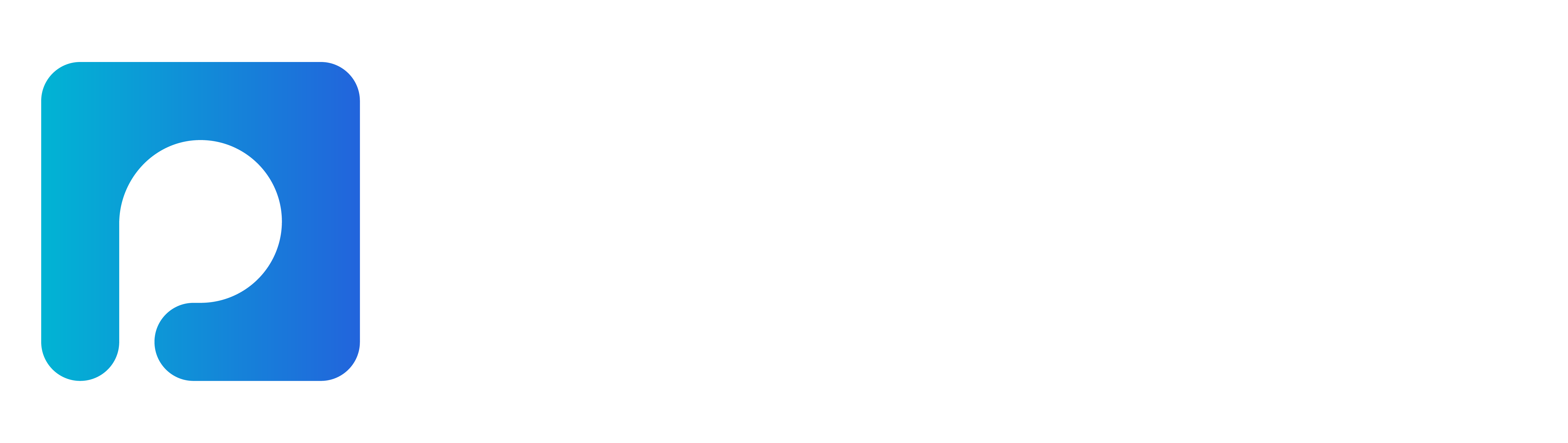 Ponte 360